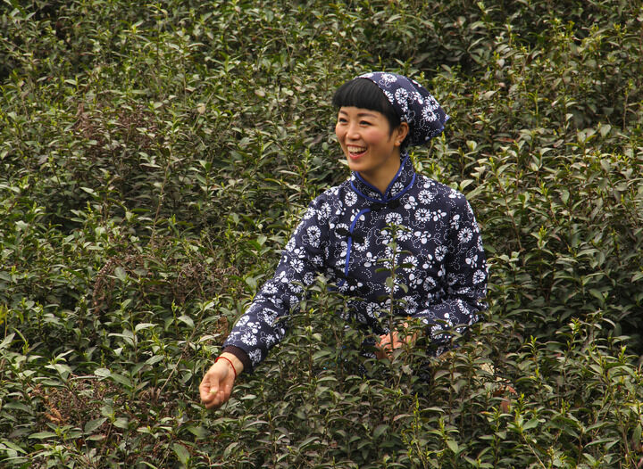 永久免费直播app 热门11